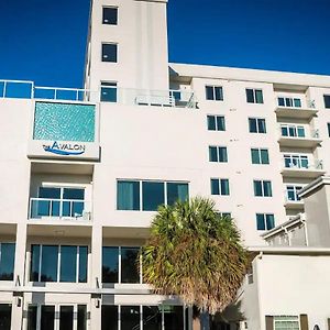 The Avalon Club